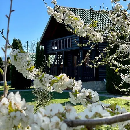 Wooden House - Imanje Terzic *