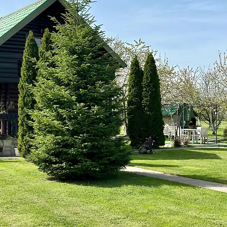 Wooden House - Imanje Terzic Будинок відпочинку
