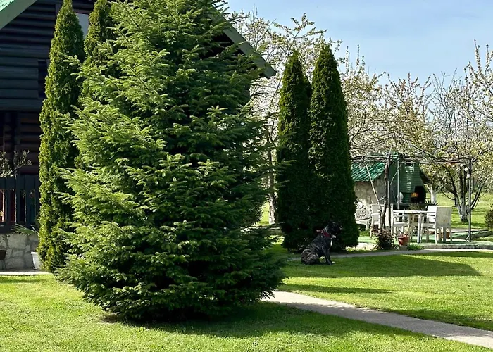 Wooden House - Imanje Terzic بيت للعطل